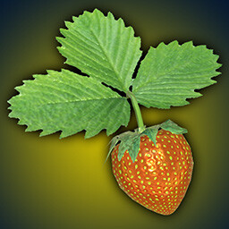 Berry Nostaligic icon