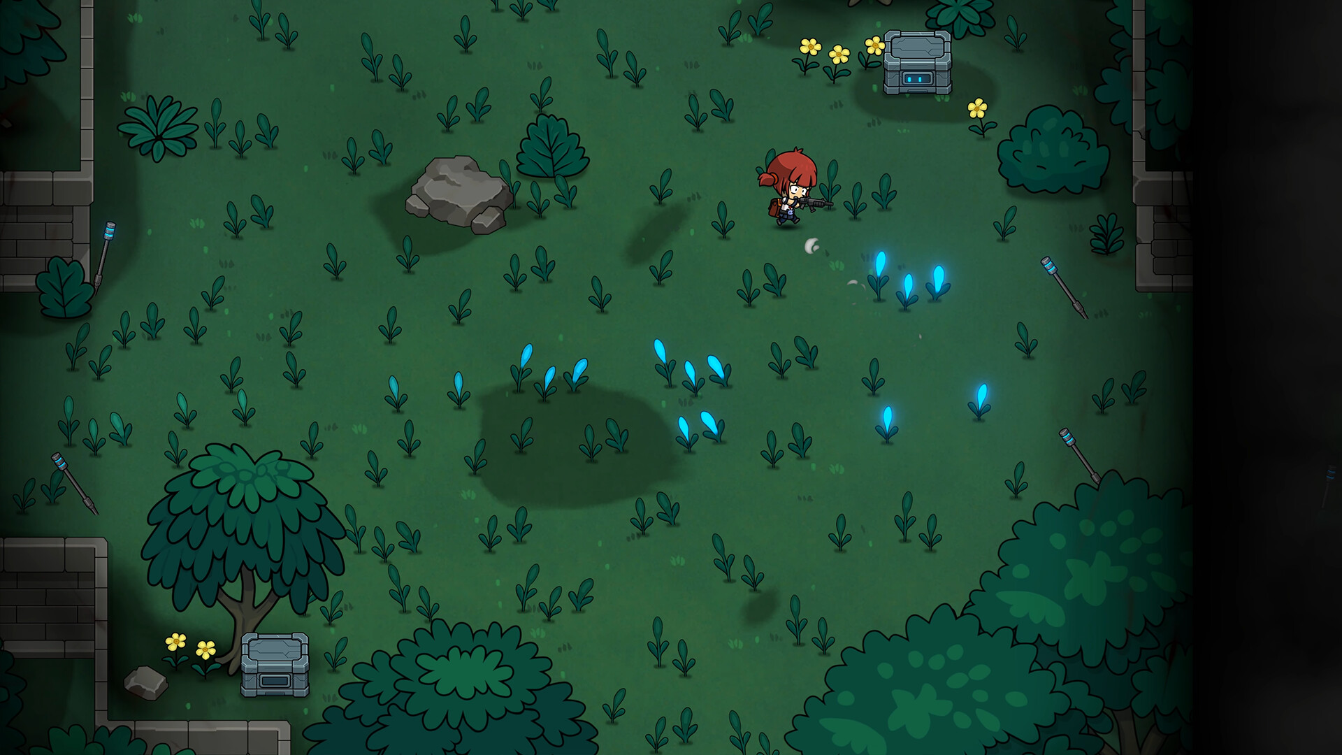 Seed 2313 Screenshot 0