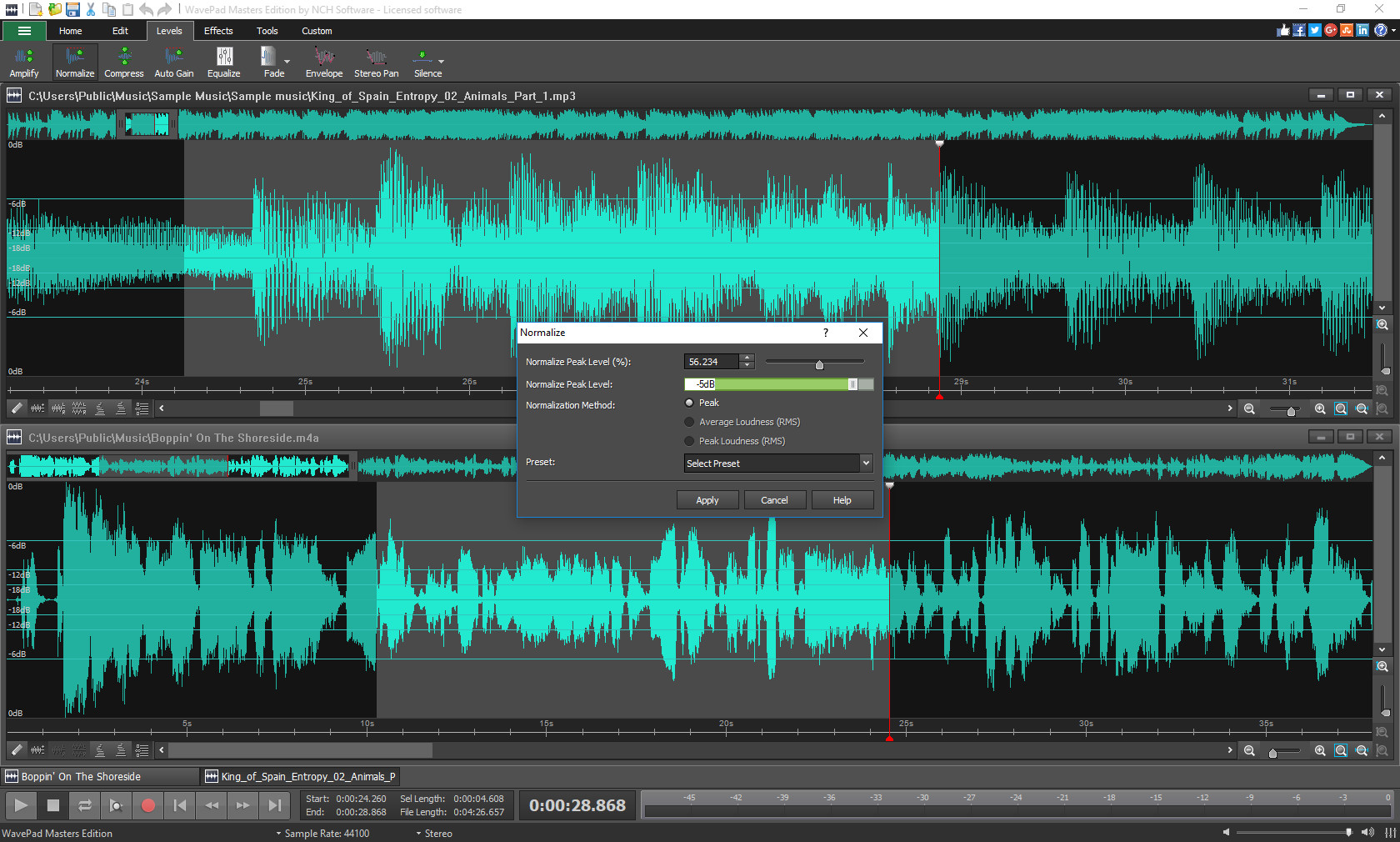 WavePad Audio Editor Screenshot 1