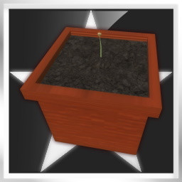 Seed: Beginner icon