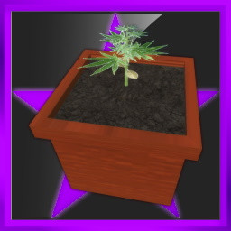 Clones: Professional icon