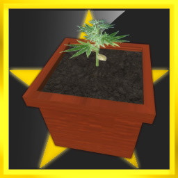 Clones: Practiced icon