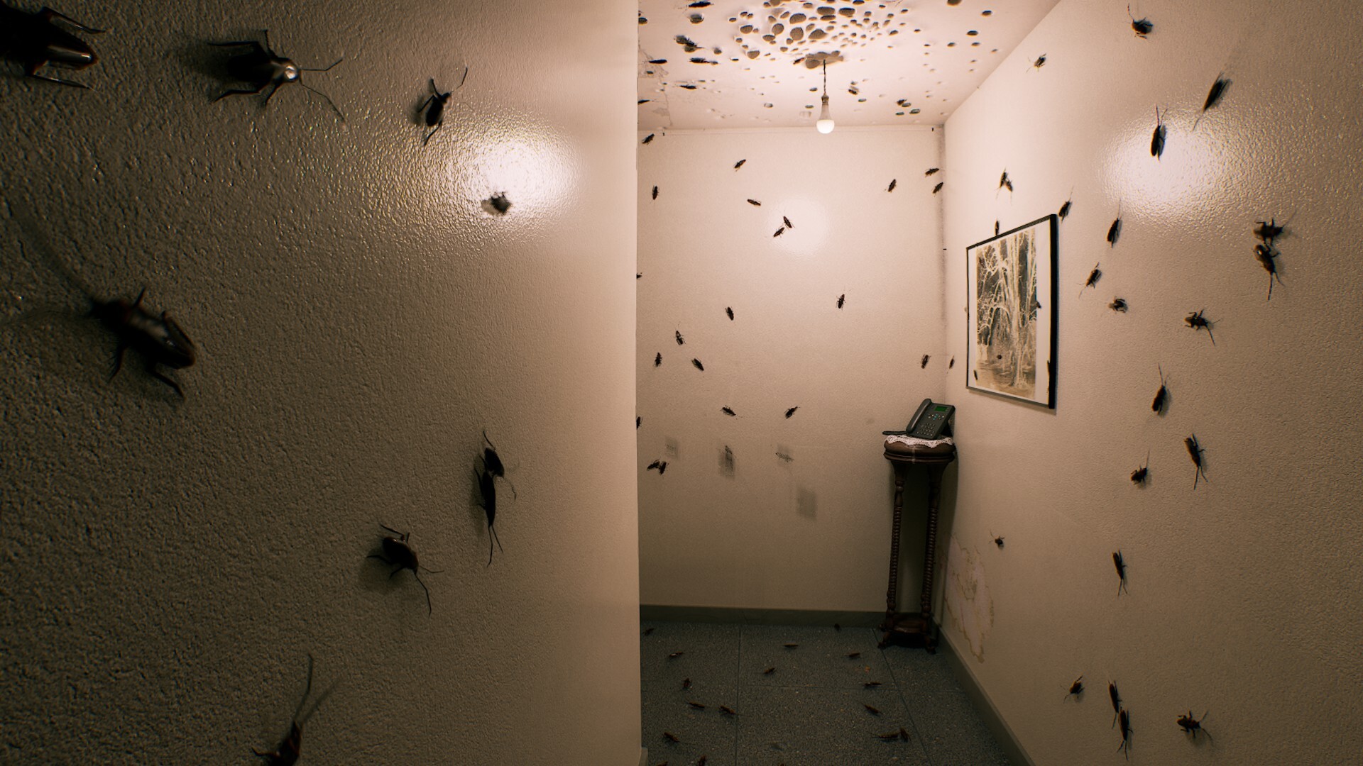 August Night Screenshot 6