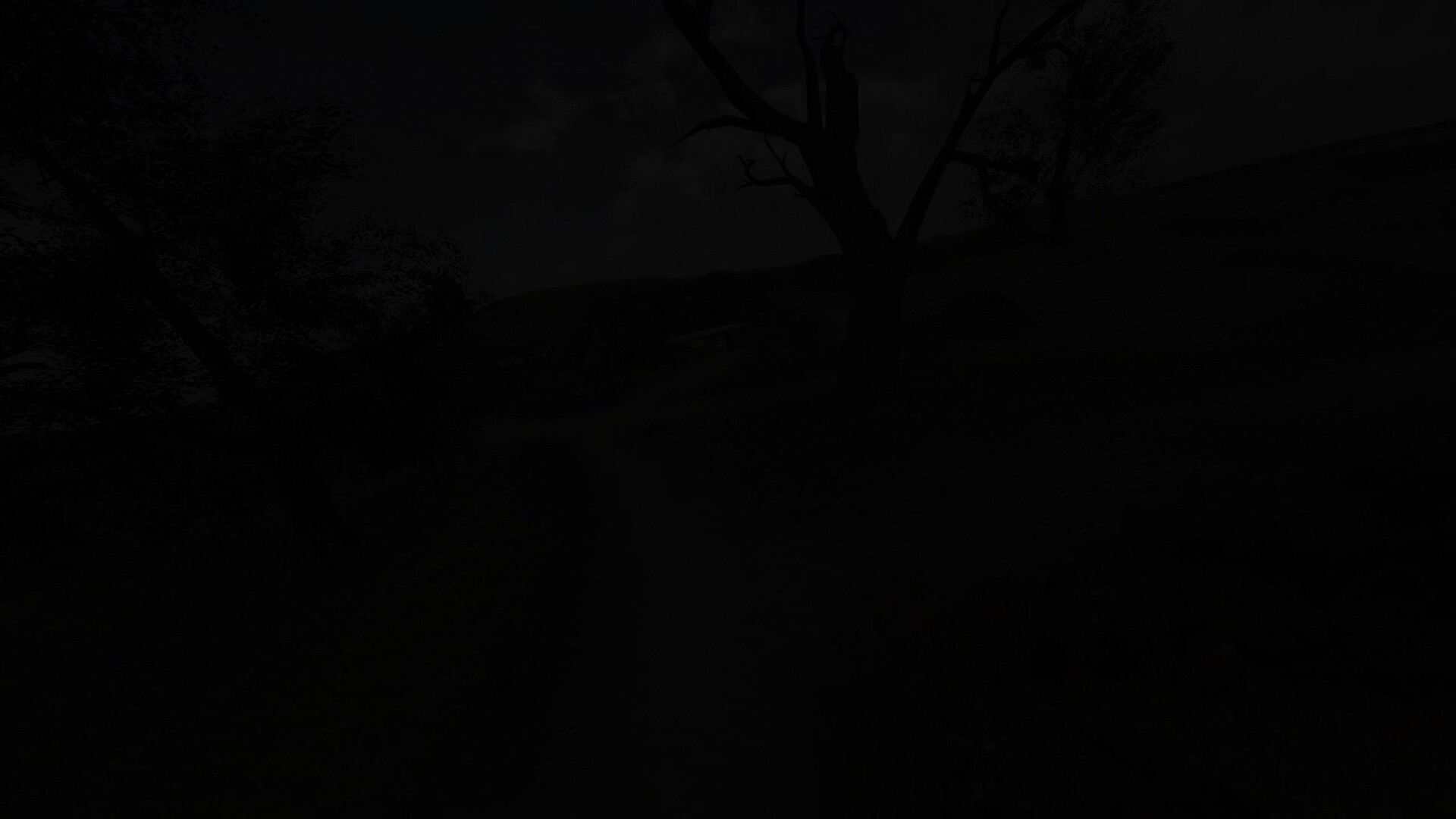 The Curse in the Village - Remastered Screenshot 7