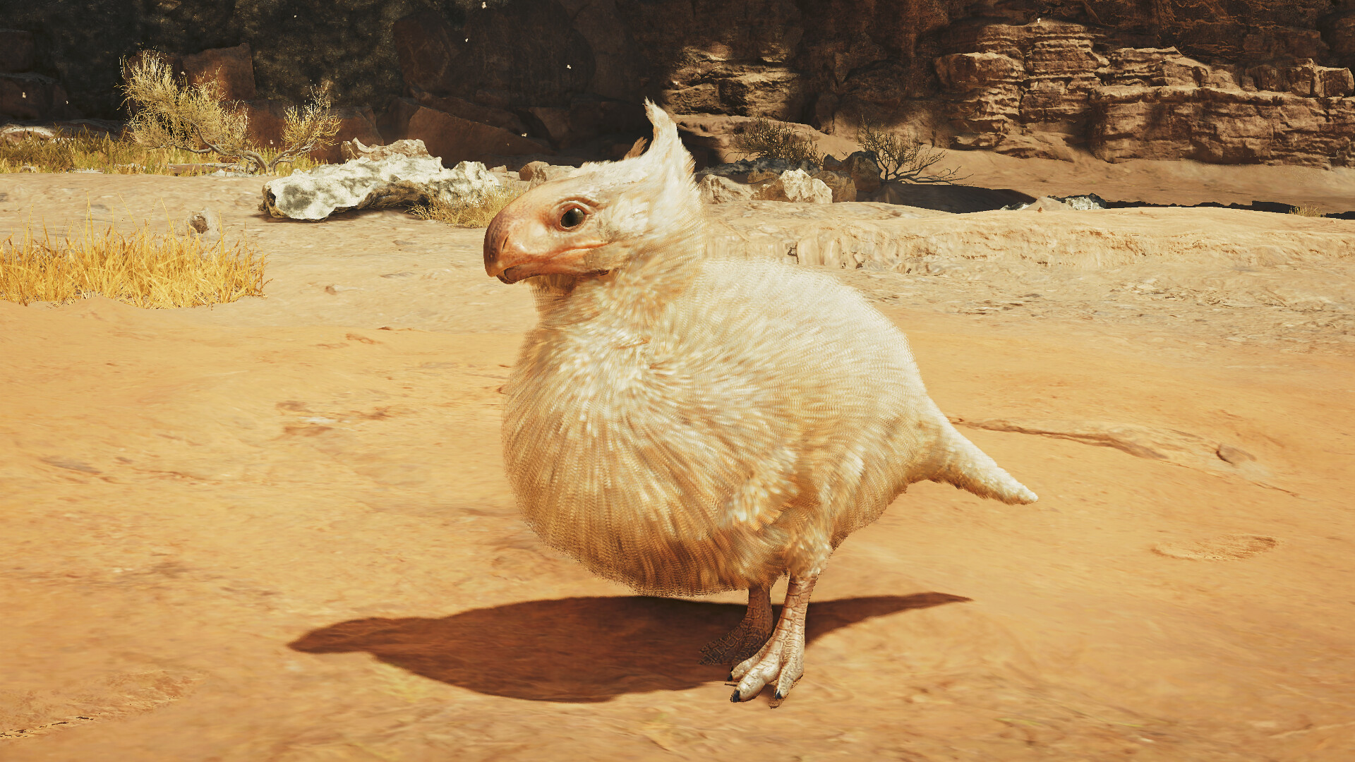 Monster Hunter Wilds - Pendant: Trot-along Fledgling Screenshot 1