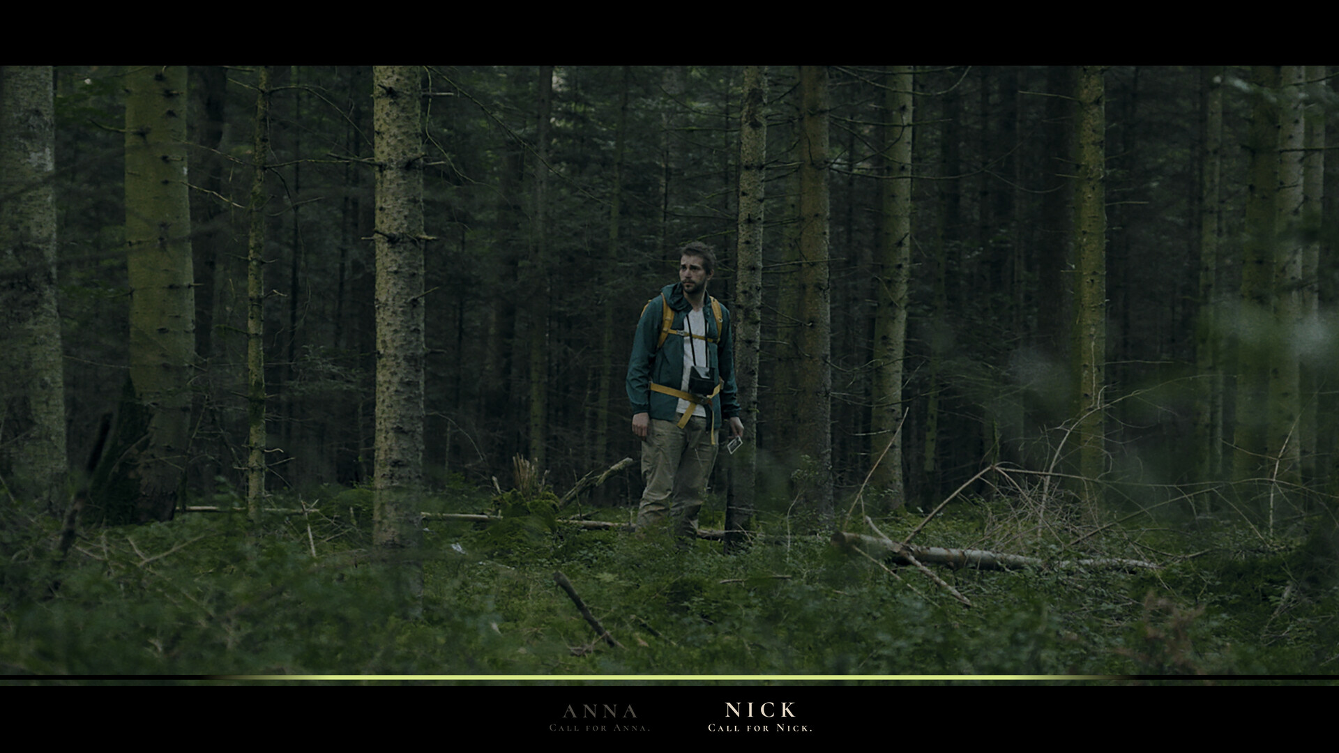 Heart of the Forest Soundtrack Screenshot 7