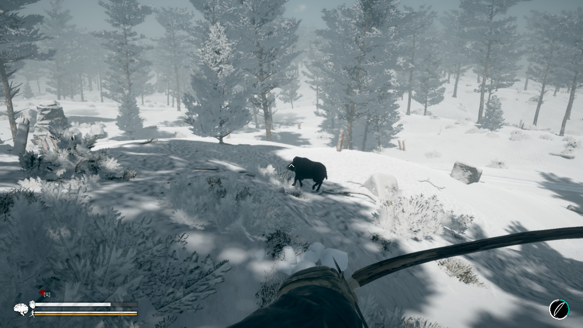 Northern Lights Screenshot 2