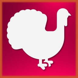 Turkey icon