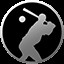 Home Run icon