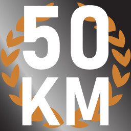 On the Road Master icon