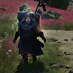 Lantern Seed Festival icon