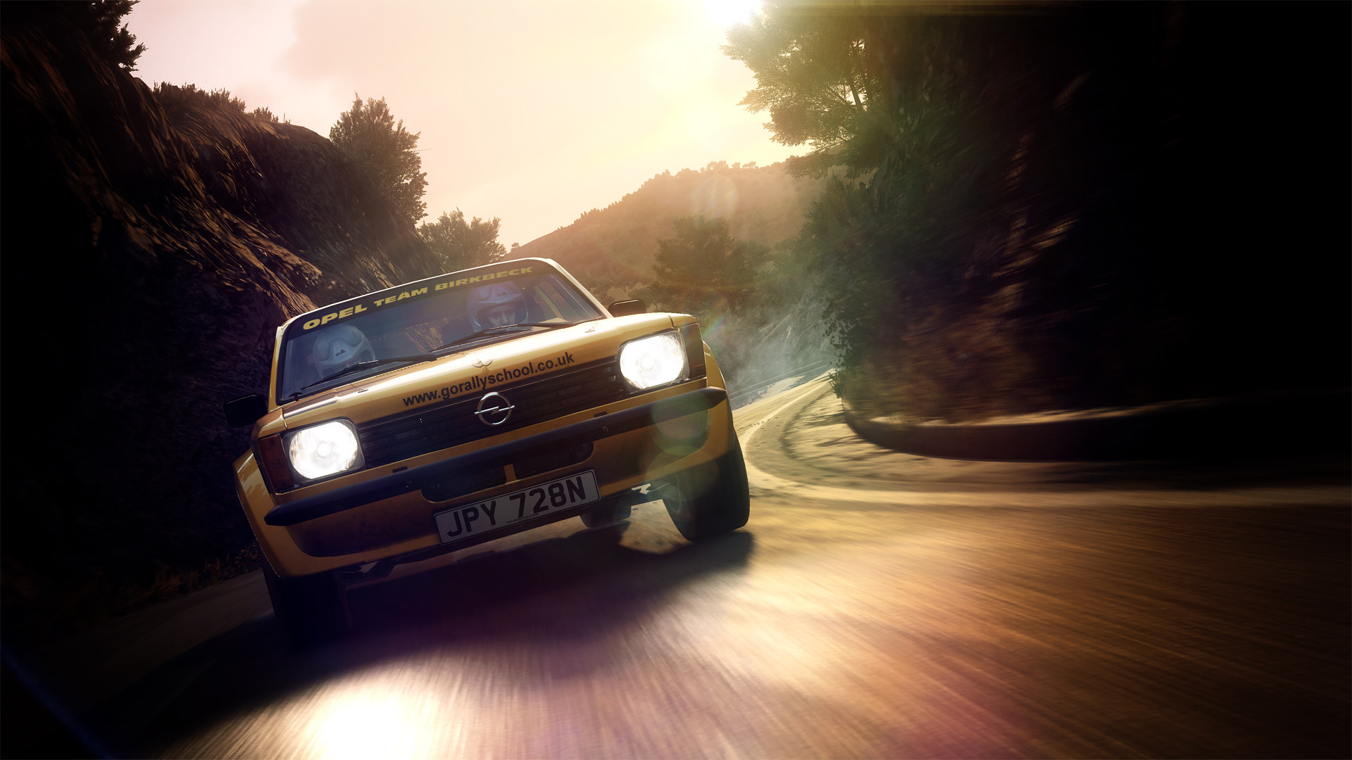 DiRT Rally 2.0 Screenshot 23