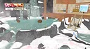 Calico Screenshot 4