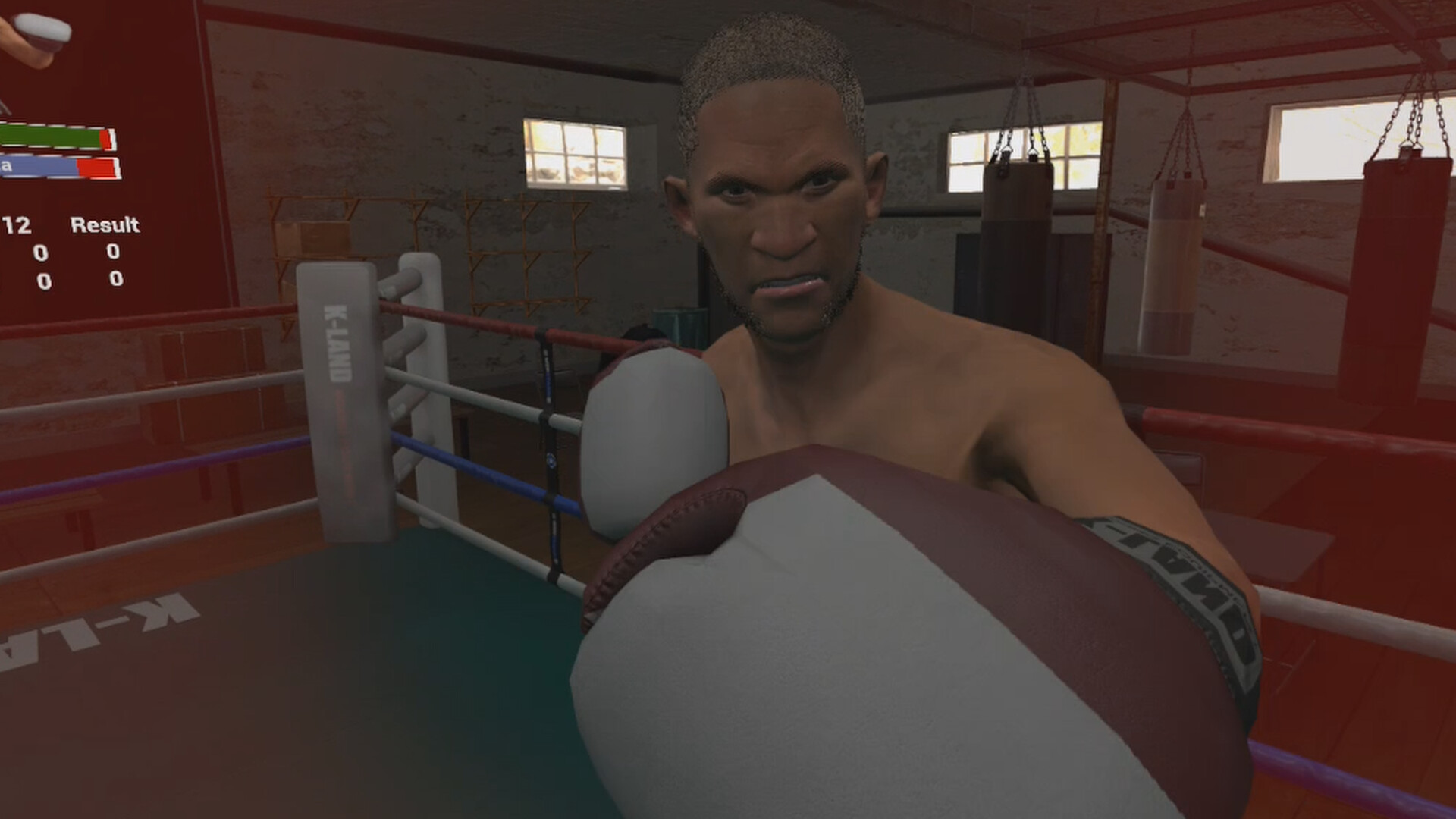 True Boxing VR Screenshot 1