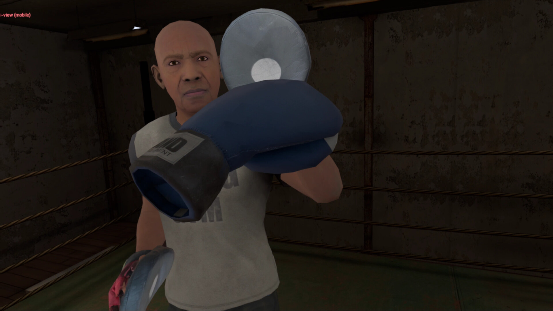 True Boxing VR Screenshot 4