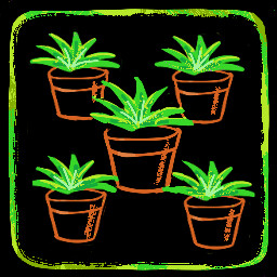 One Plant Mind icon