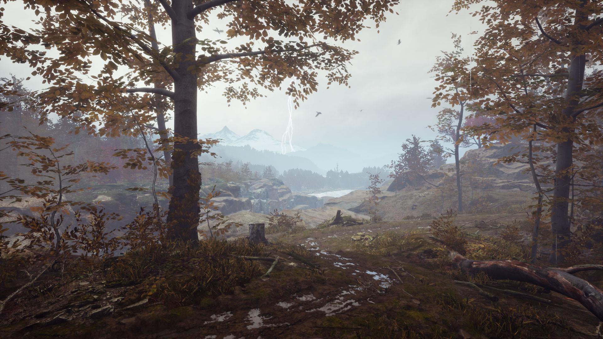 Pluviophile Screenshot 0