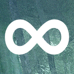 Infinity Loop icon