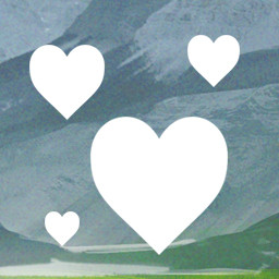 Heart Collector icon