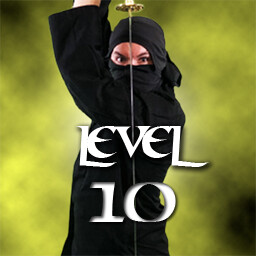 Jito Level 10 icon