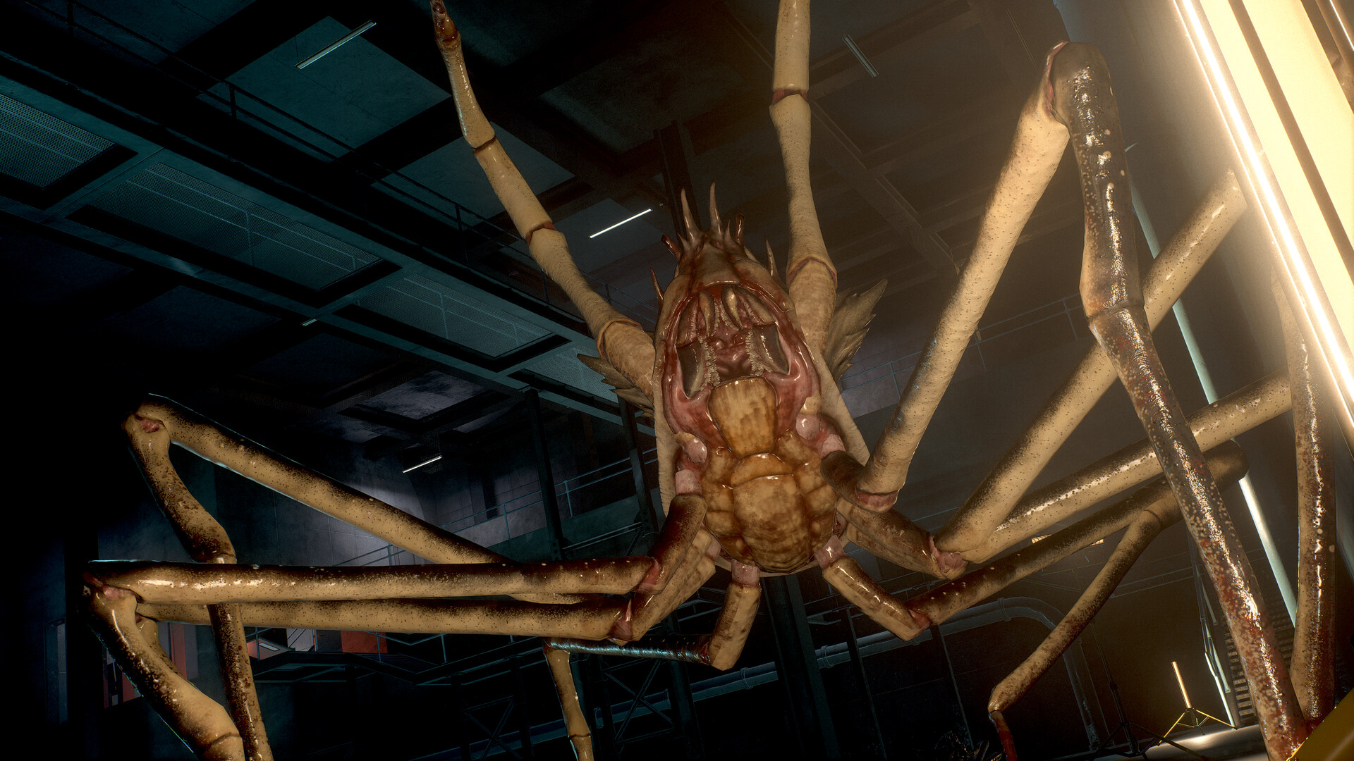 SCP: 5K Screenshot 12