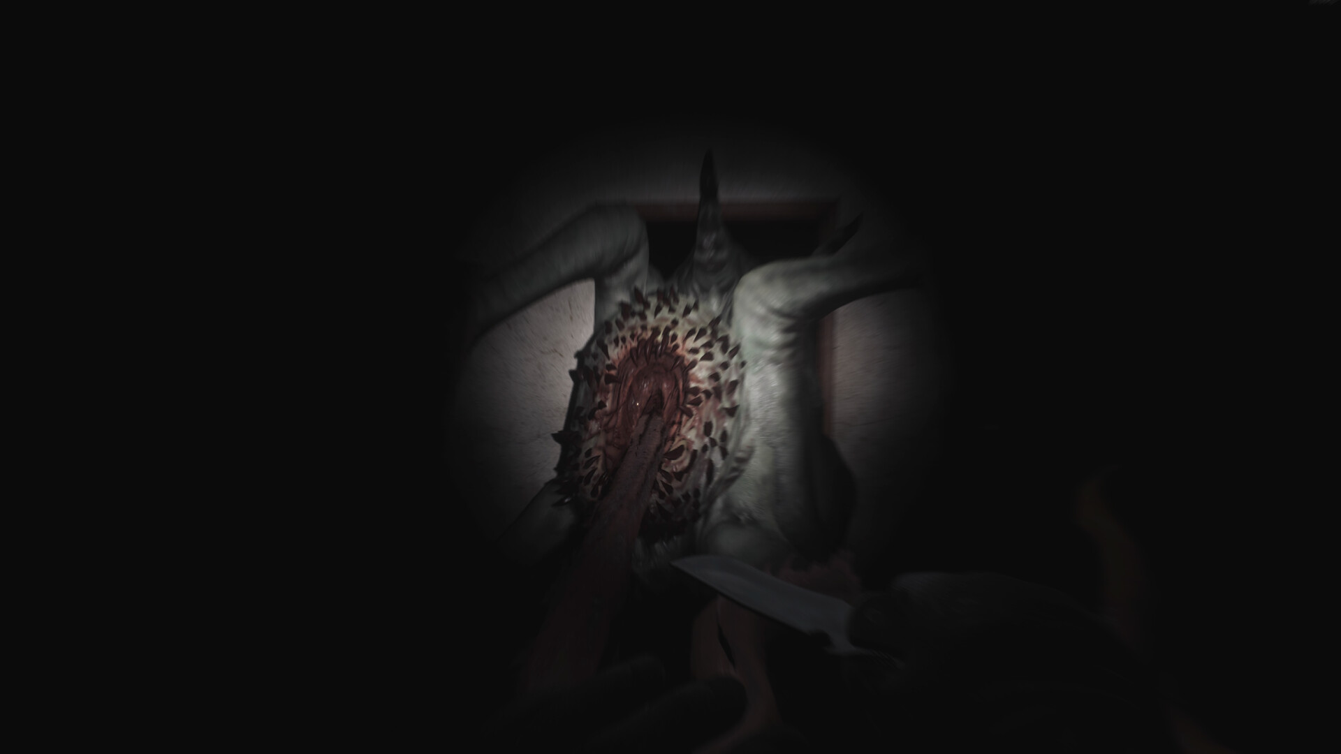 SCP: 5K Screenshot 2