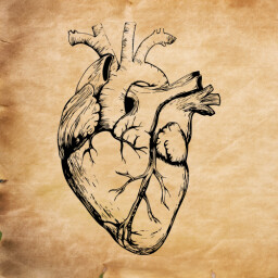 The Forgiving One icon