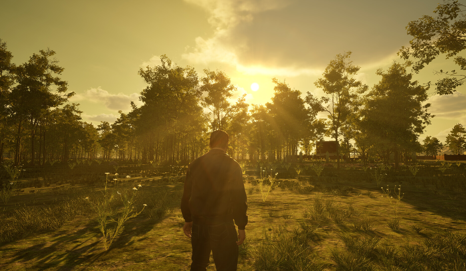 Island of the Missing Screenshot 3