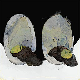 Why's It Always Me? icon