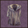 Fur Coat