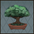 Bonsai icon