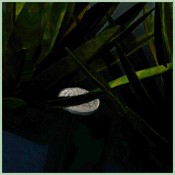 I'll take those while I am here