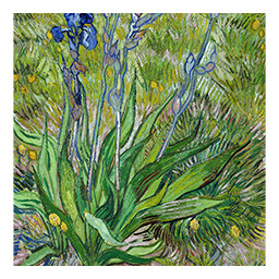 Vincent van Gogh 01 icon