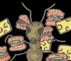 One more fly can't be that bad... icon