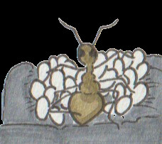 So many white balls icon