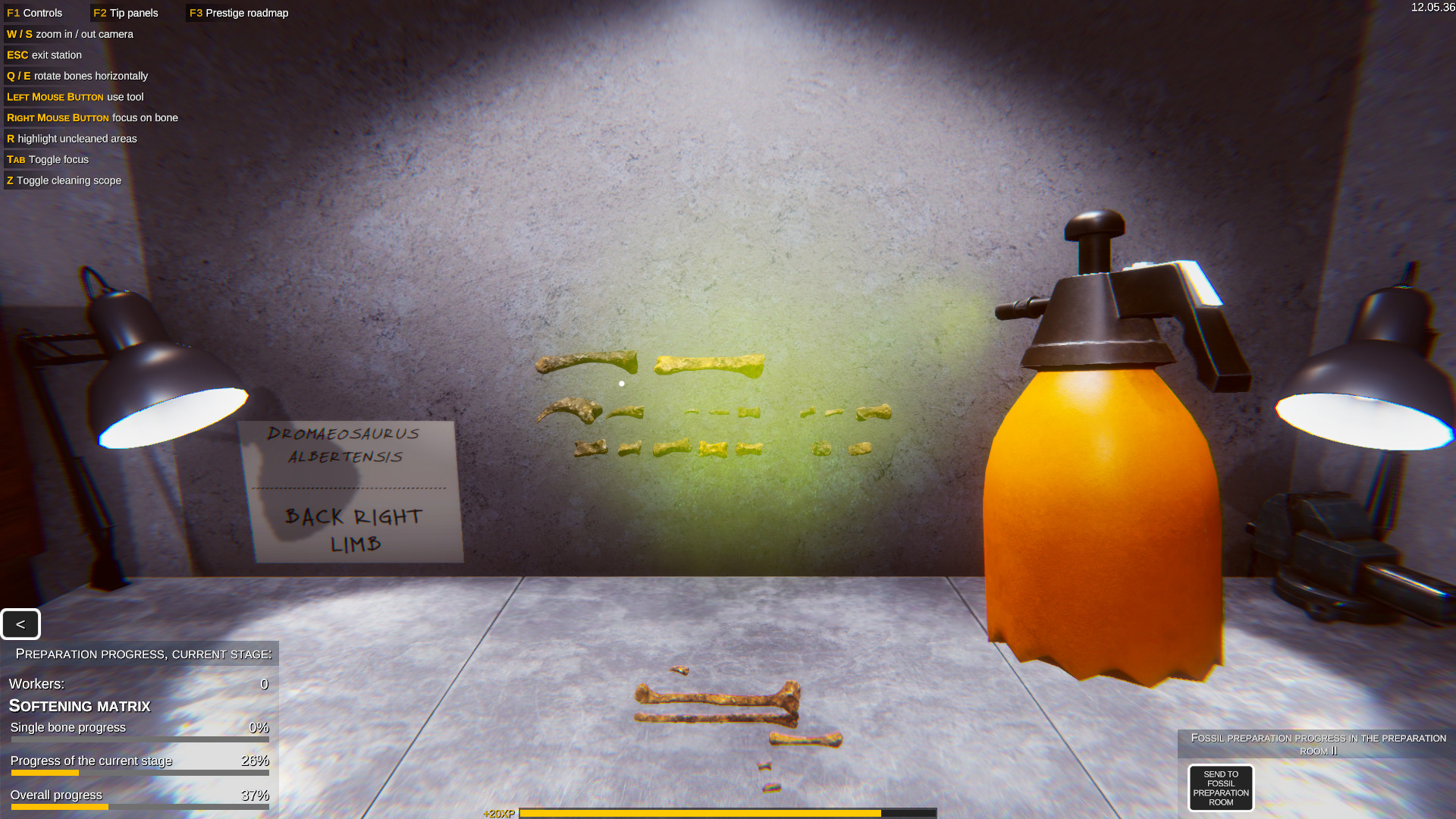 Dinosaur Fossil Hunter Screenshot 16