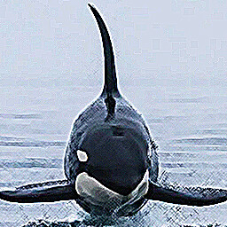 Horror of the Deep icon