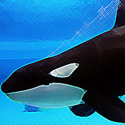 Insanity Continues icon