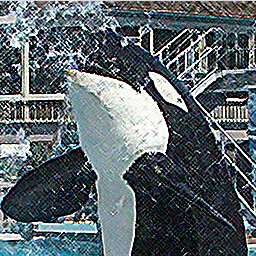 One more in the tanks... icon