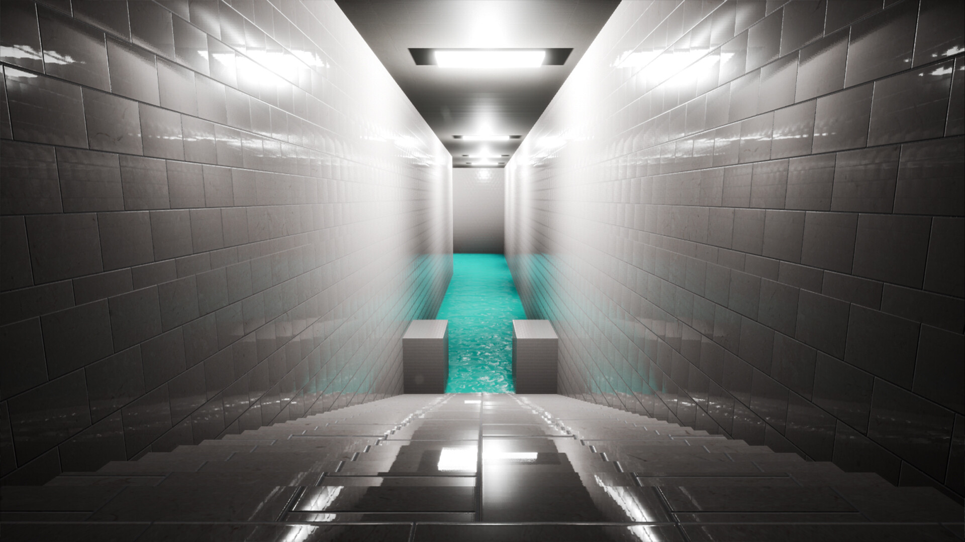 AQUARIUMS Screenshot 5