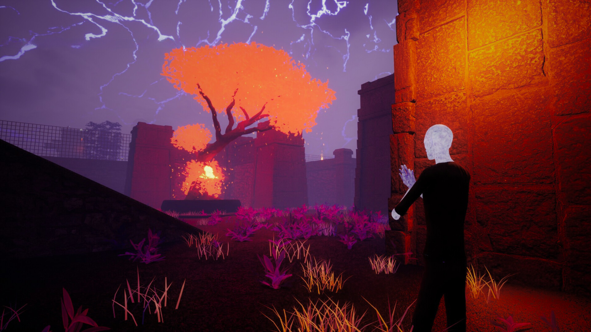 The Search For Paradisus Screenshot 0