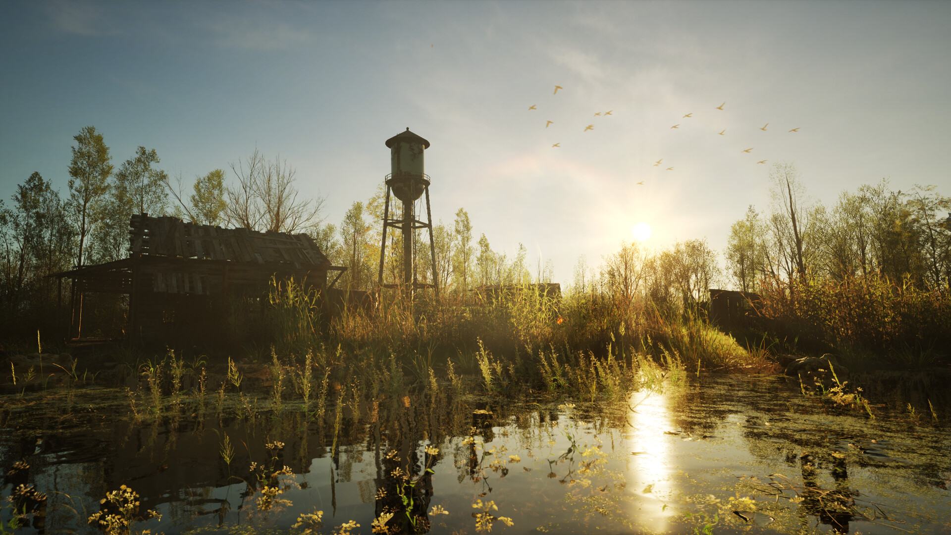 Forest Doesn’t Care Screenshot 13