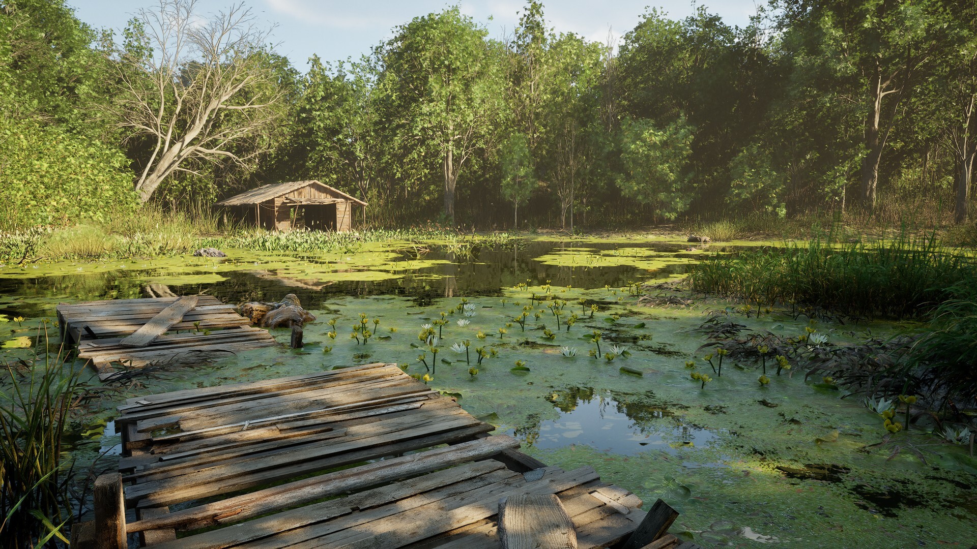 Forest Doesn’t Care Screenshot 12