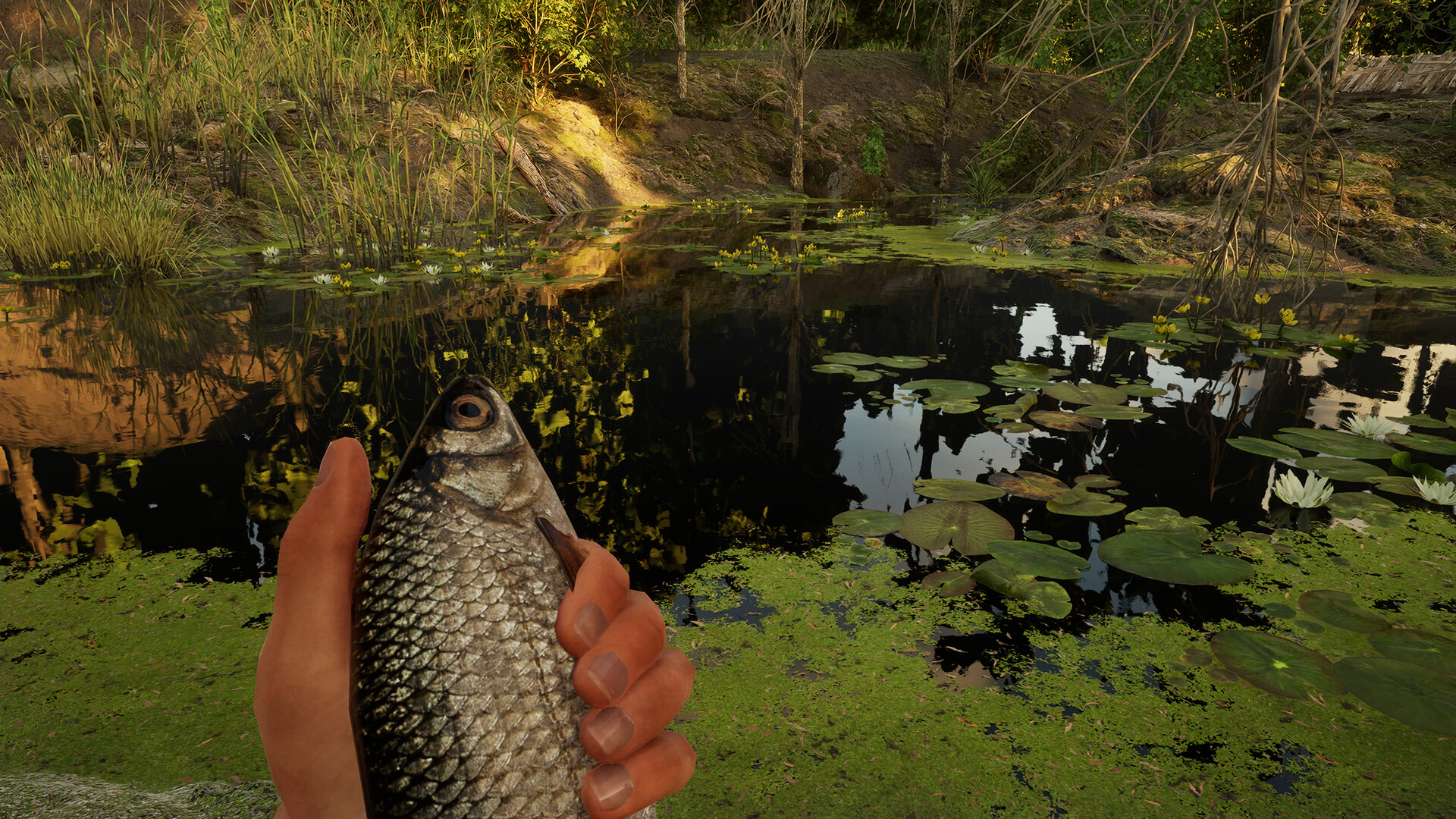 Forest Doesn’t Care Screenshot 6