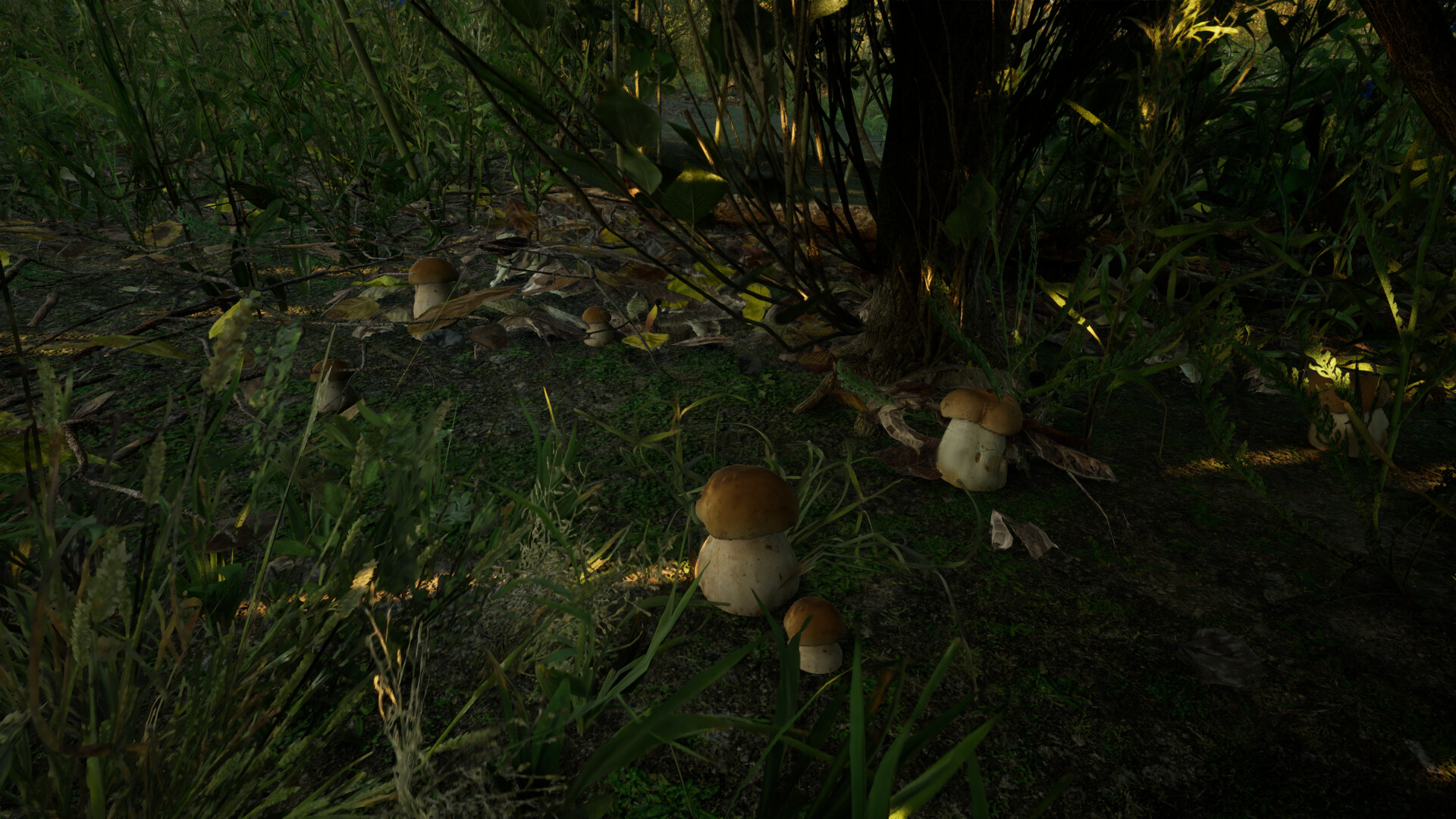 Forest Doesn’t Care Screenshot 11