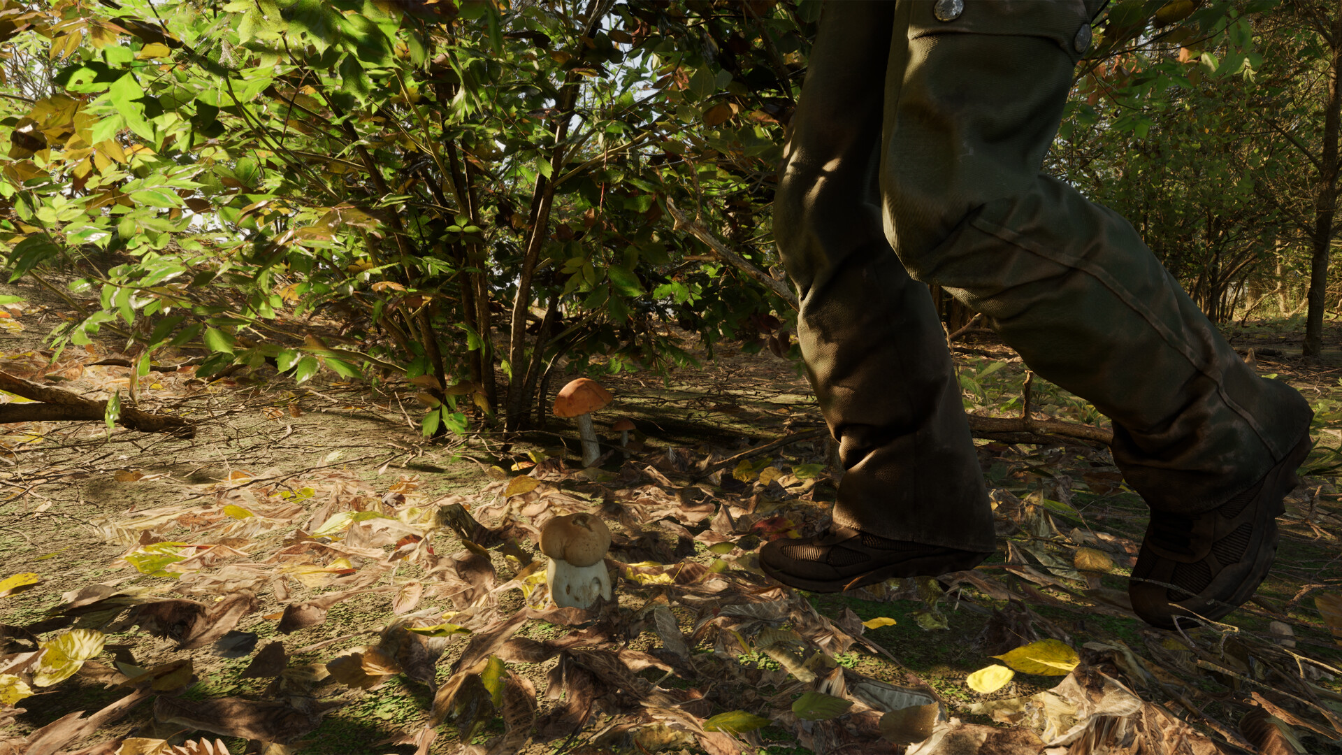 Forest Doesn’t Care Screenshot 2