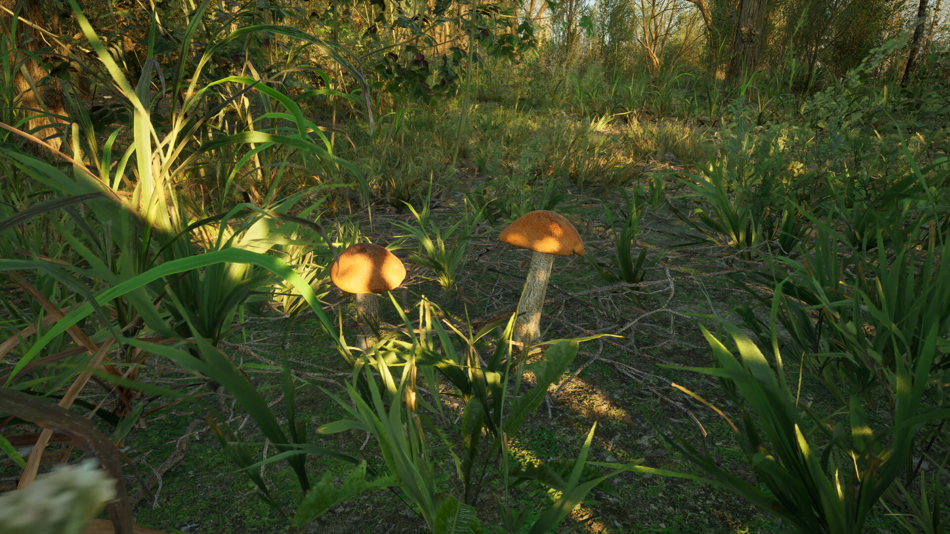 Forest Doesn’t Care Screenshot 14