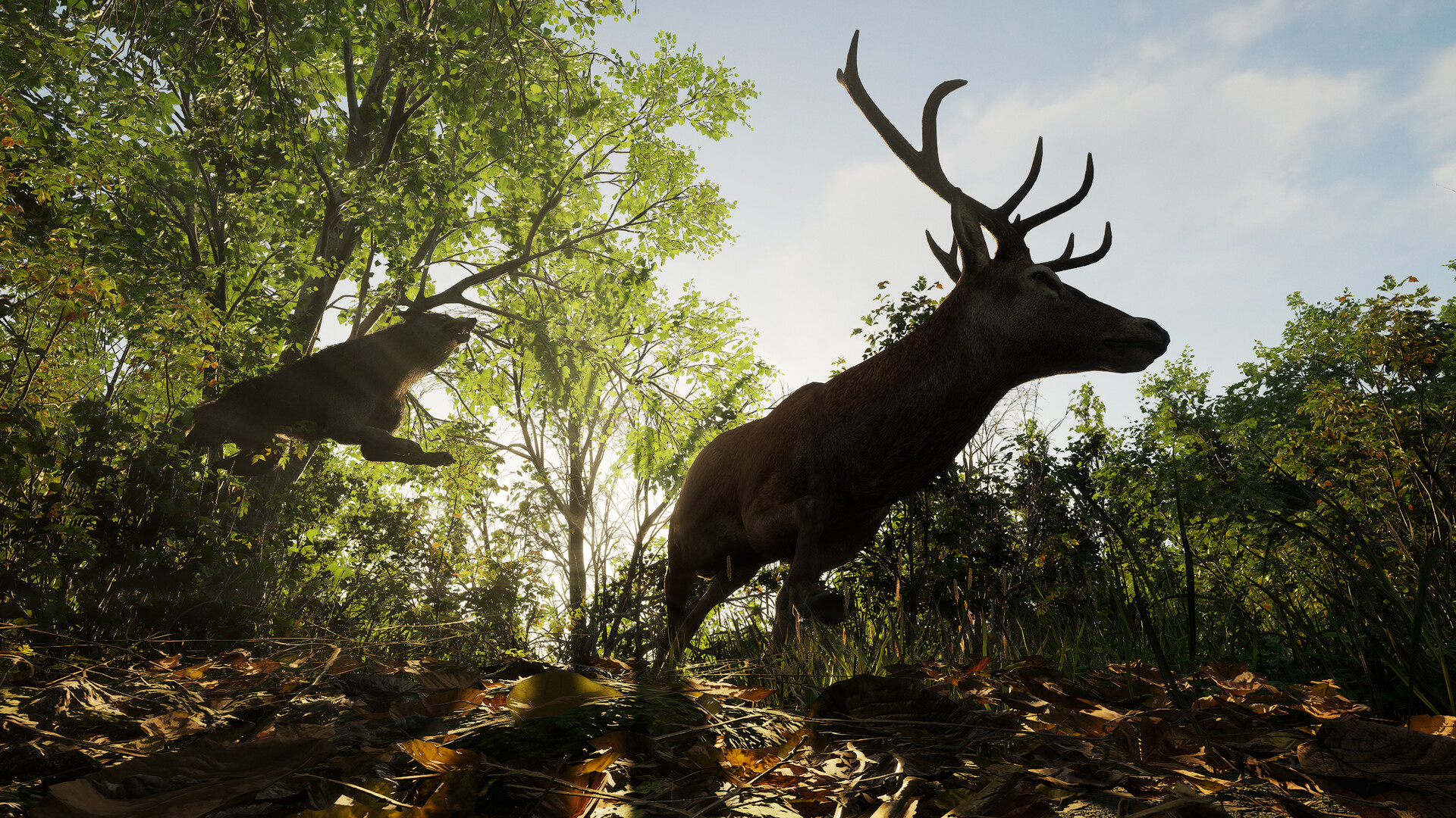 Forest Doesn’t Care Screenshot 1