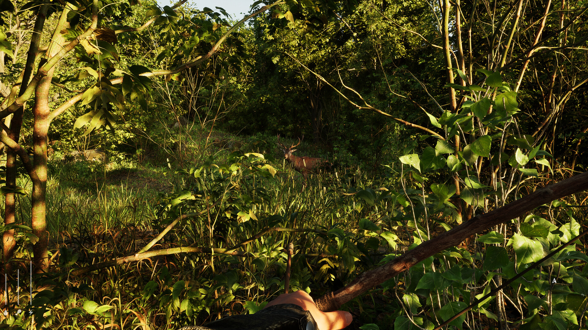 Forest Doesn’t Care Screenshot 5