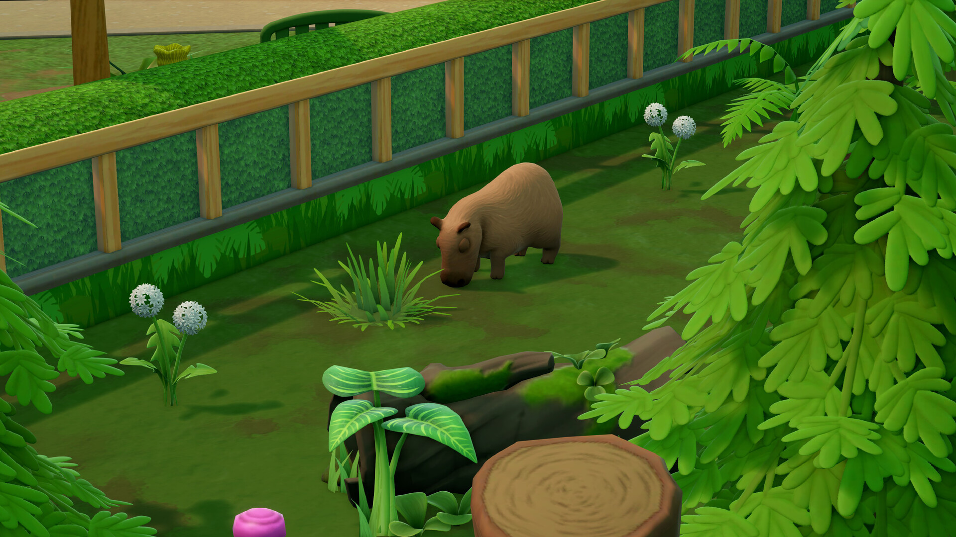 Two Point Museum: Zooseum Screenshot 5
